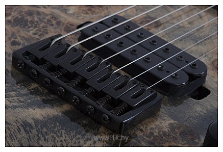 Фотографии Schecter C-7 PRO CB