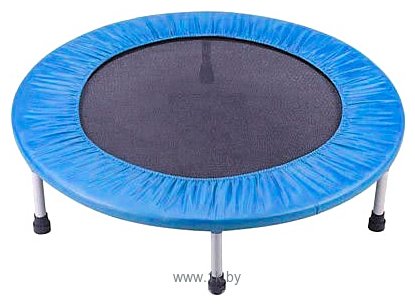 Фотографии Fitness Trampoline 10FT Extreme