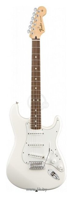 Фотографии Fender Standard Stratocaster RW