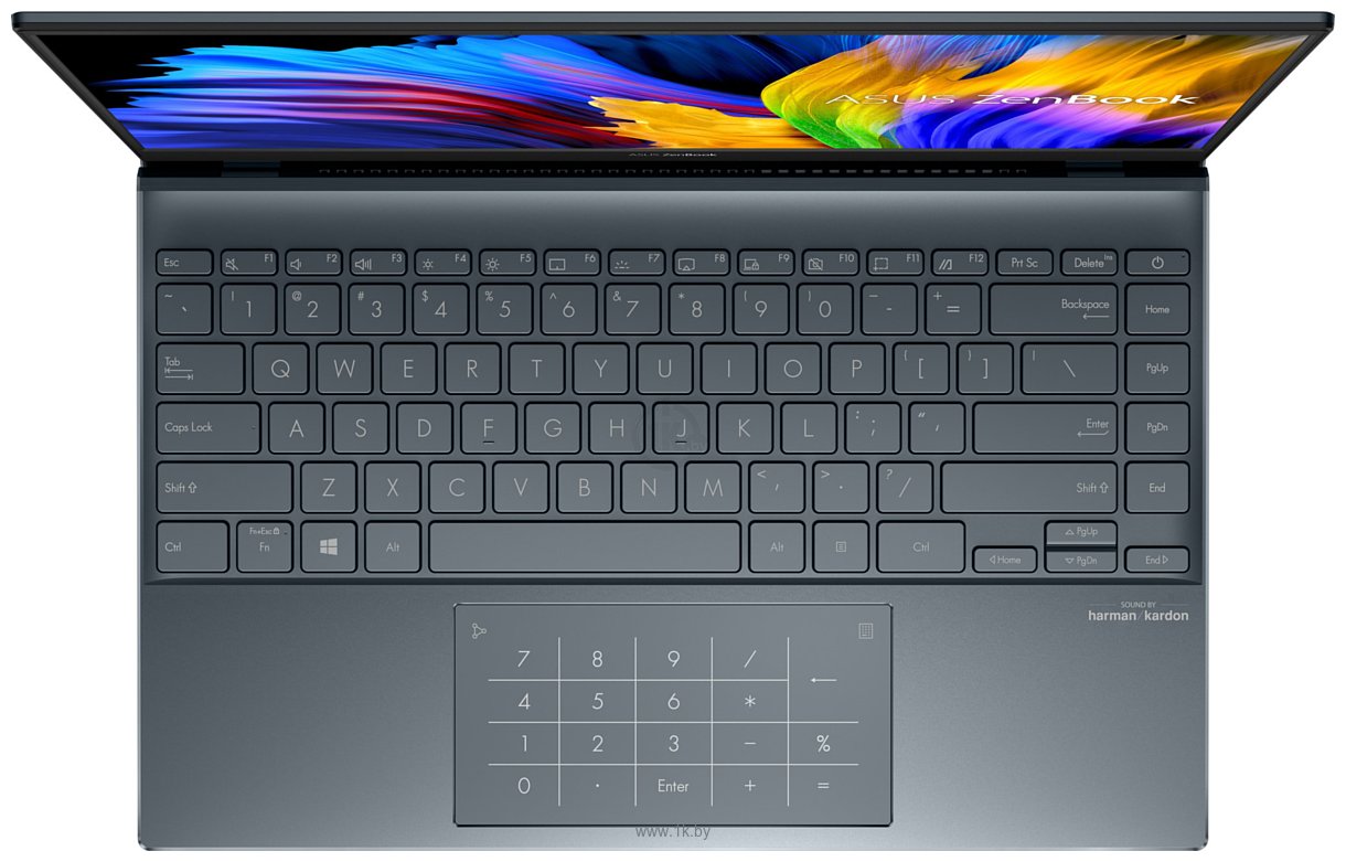 Фотографии ASUS ZenBook 14 UM425UA-HM010T