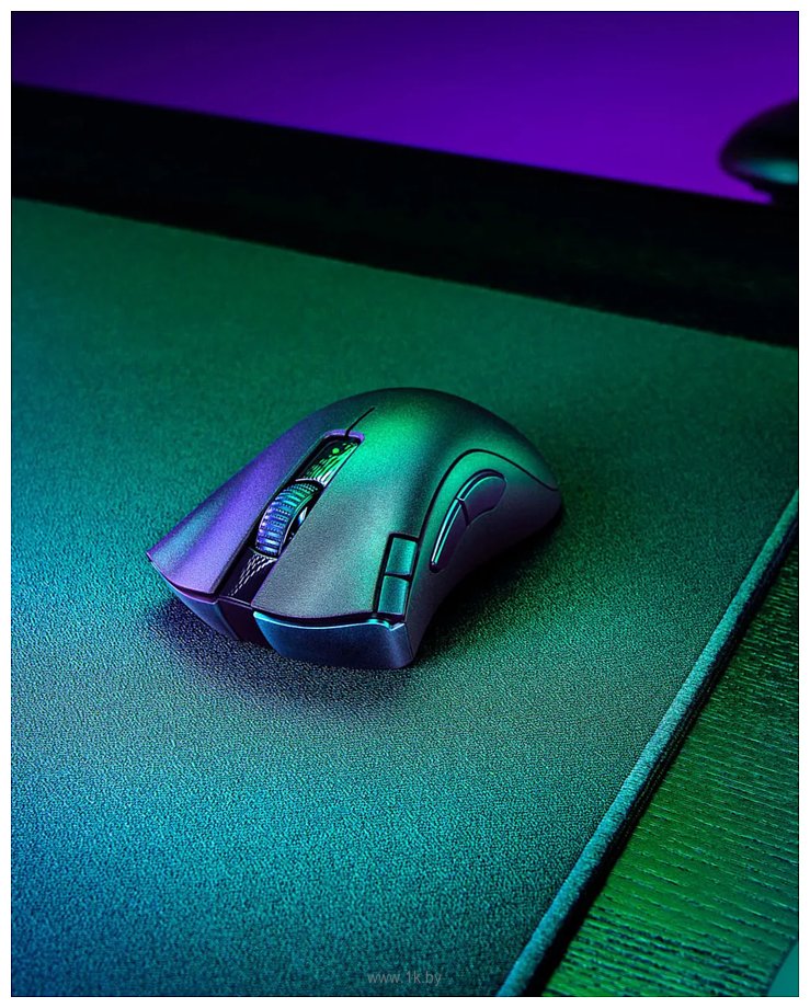 Фотографии Razer DeathAdder V2 X HyperSpeed