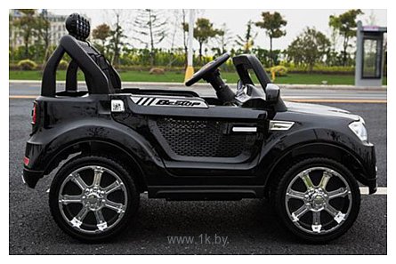 Фотографии Electric Toys BMW X5 EVA Lux 12V 8088В (черный)