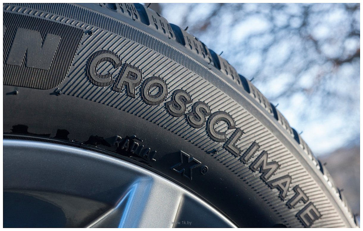 Фотографии Michelin CrossClimate 215/65 R16C 106/104T