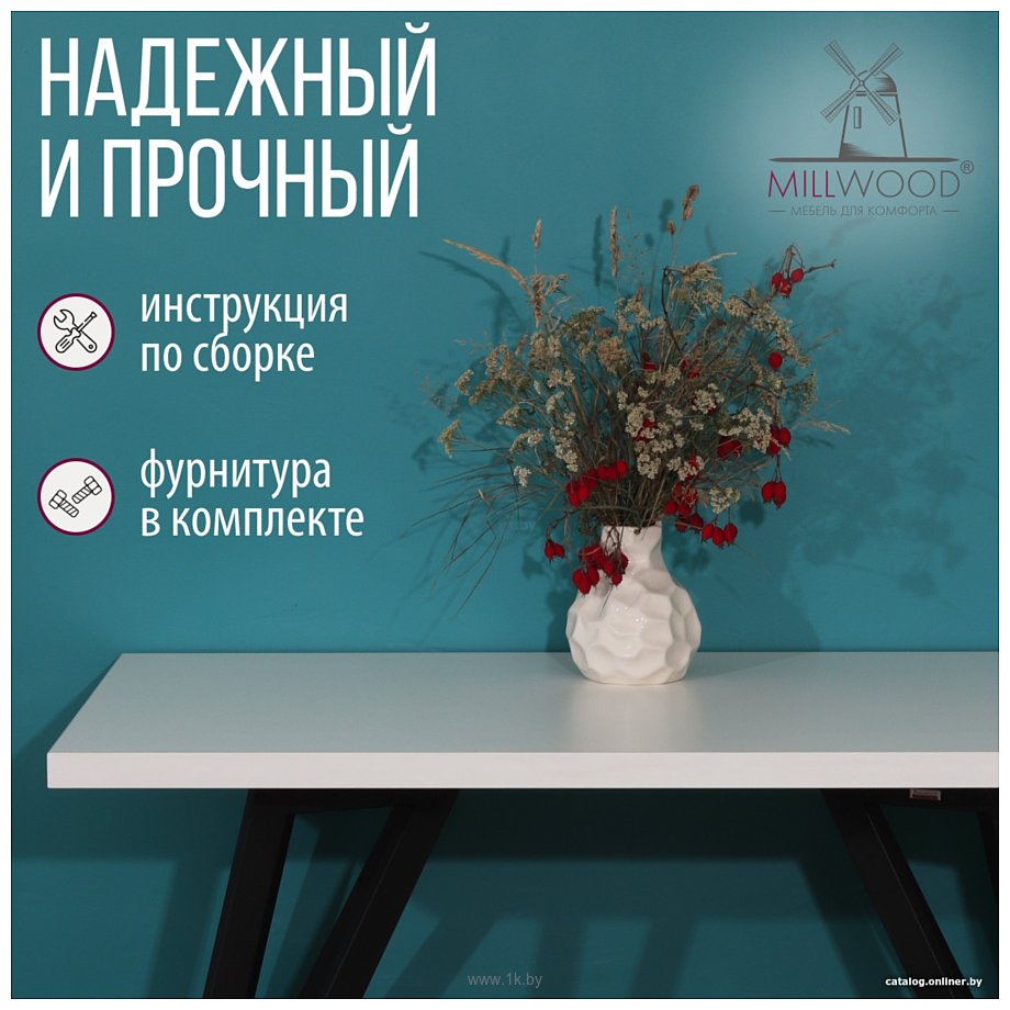 Фотографии Millwood Женева 2 Л 120x70 (36 мм, белый/металл черный)