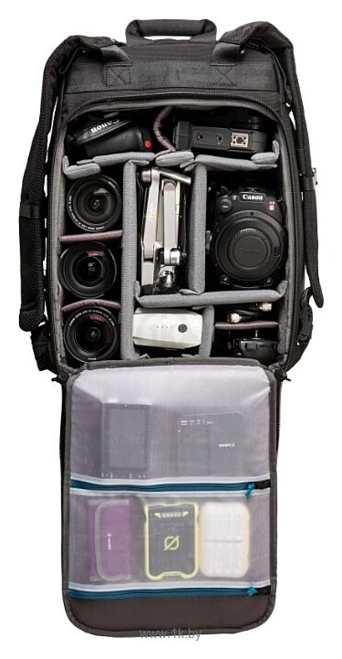 Фотографии TENBA Roadie Backpack 20