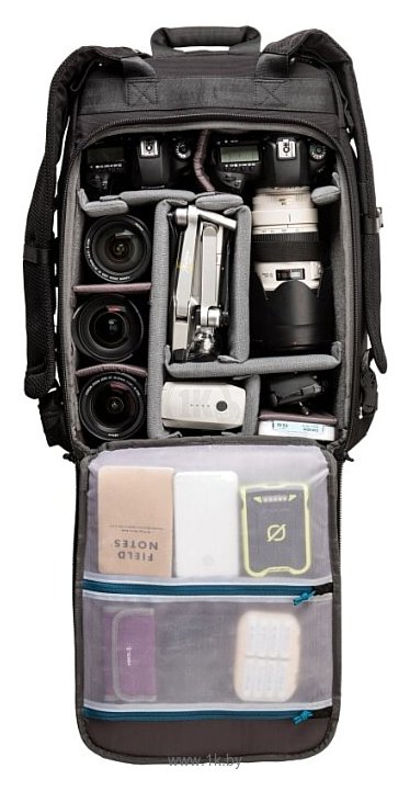 Фотографии TENBA Roadie Backpack 20