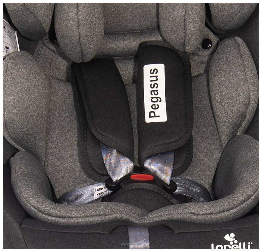 Фотографии Lorelli Pegasus Isofix