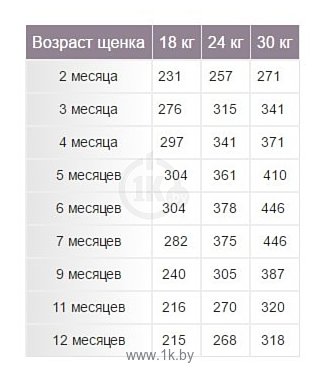 Кормление щенка йорка по месяцам 59 фото - ZooClever.ru