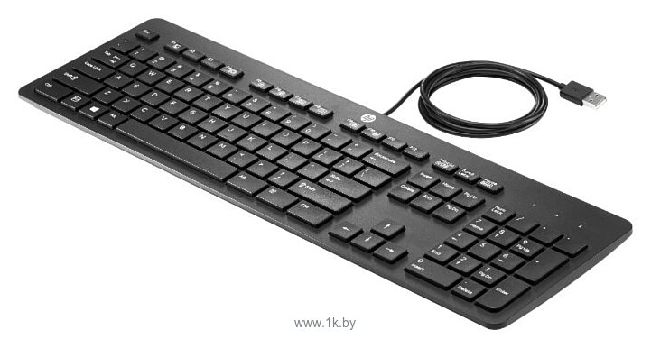 Фотографии HP SK-2120 black USB