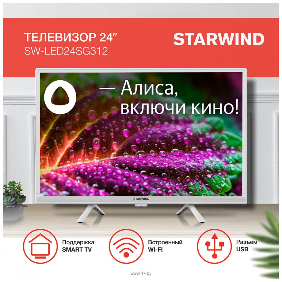 Фотографии StarWind SW-LED24SG312