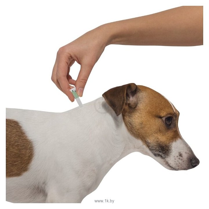 Фотографии Адвантикс (Bayer) капли от блох и клещей инсектоакарицидные для собак и щенков 4-10 кг