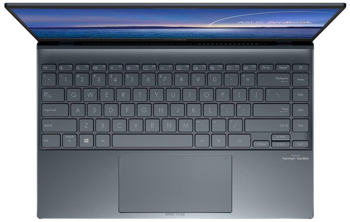 Фотографии ASUS ZenBook 14 UX425EA-KI963