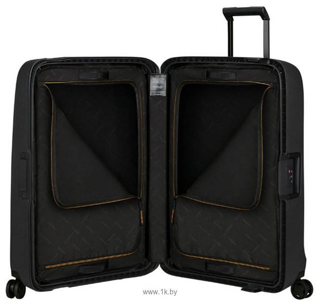 Фотографии Samsonite Essens Graphite 69 см