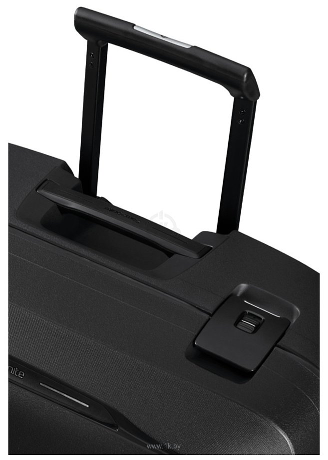 Фотографии Samsonite Essens Graphite 69 см