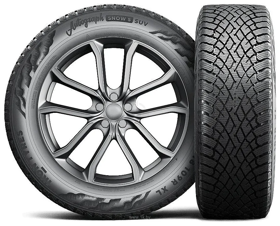 Фотографии Ikon Autograph Snow 5 SUV 225/65 R17 106 R