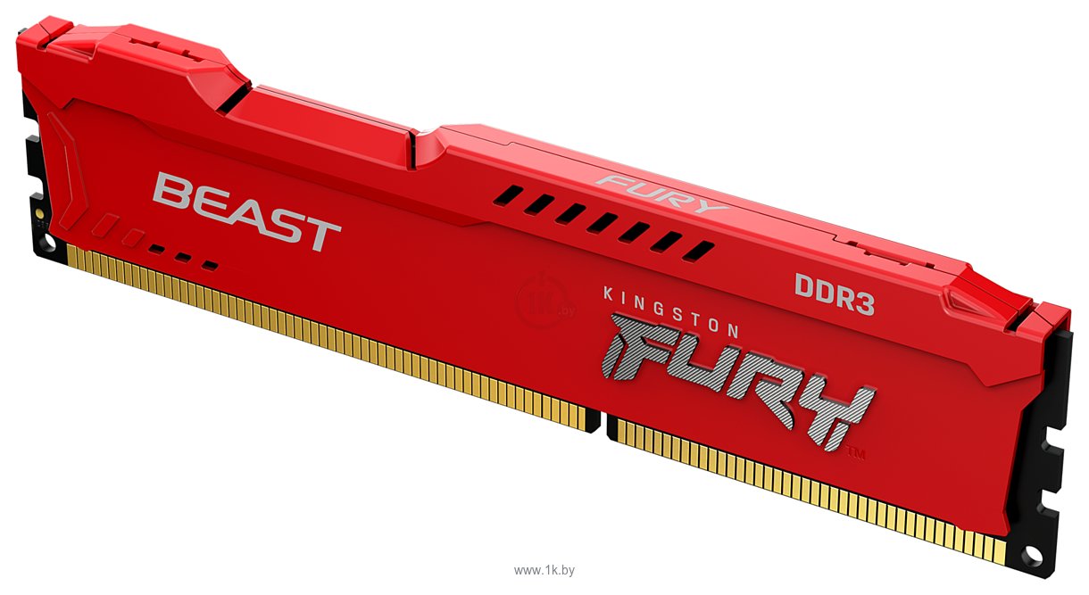 Фотографии Kingston FURY Beast KF316C10BR/4