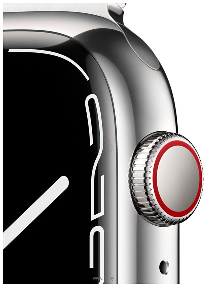 Фотографии Apple Watch Series 7 LTE 45 мм (сталь, миланский)