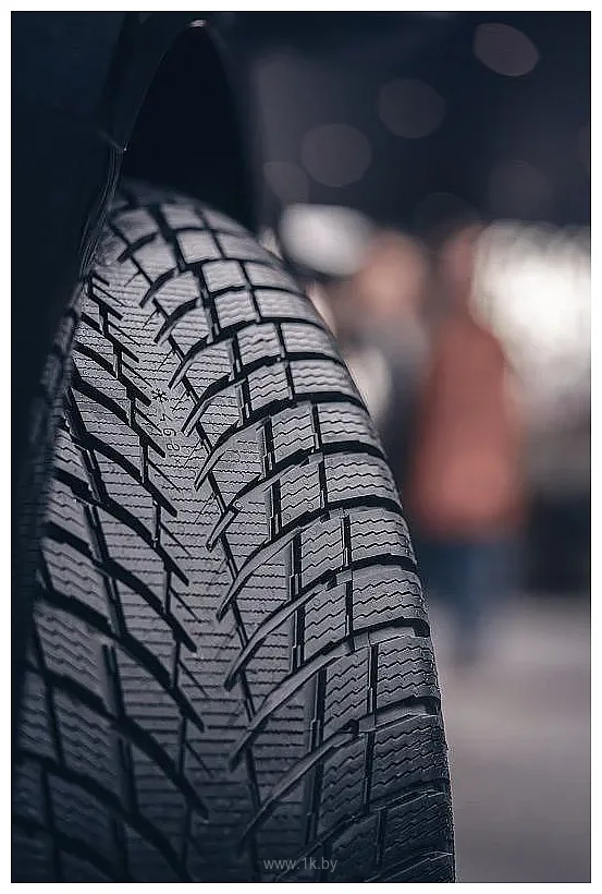 Фотографии Nokian WR Snowproof P 215/50 R17 95V