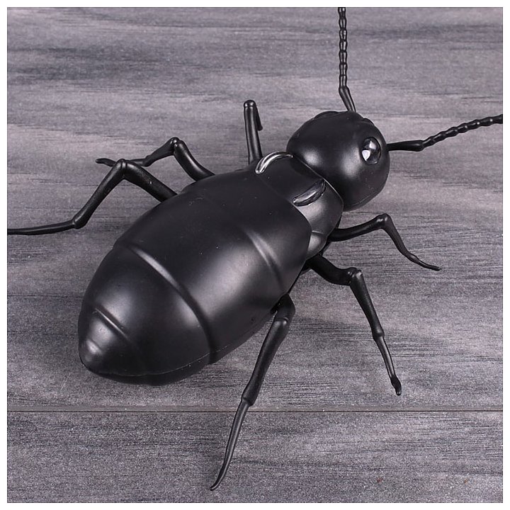 Фотографии Darvish Бегущий муравей DV-T-1827