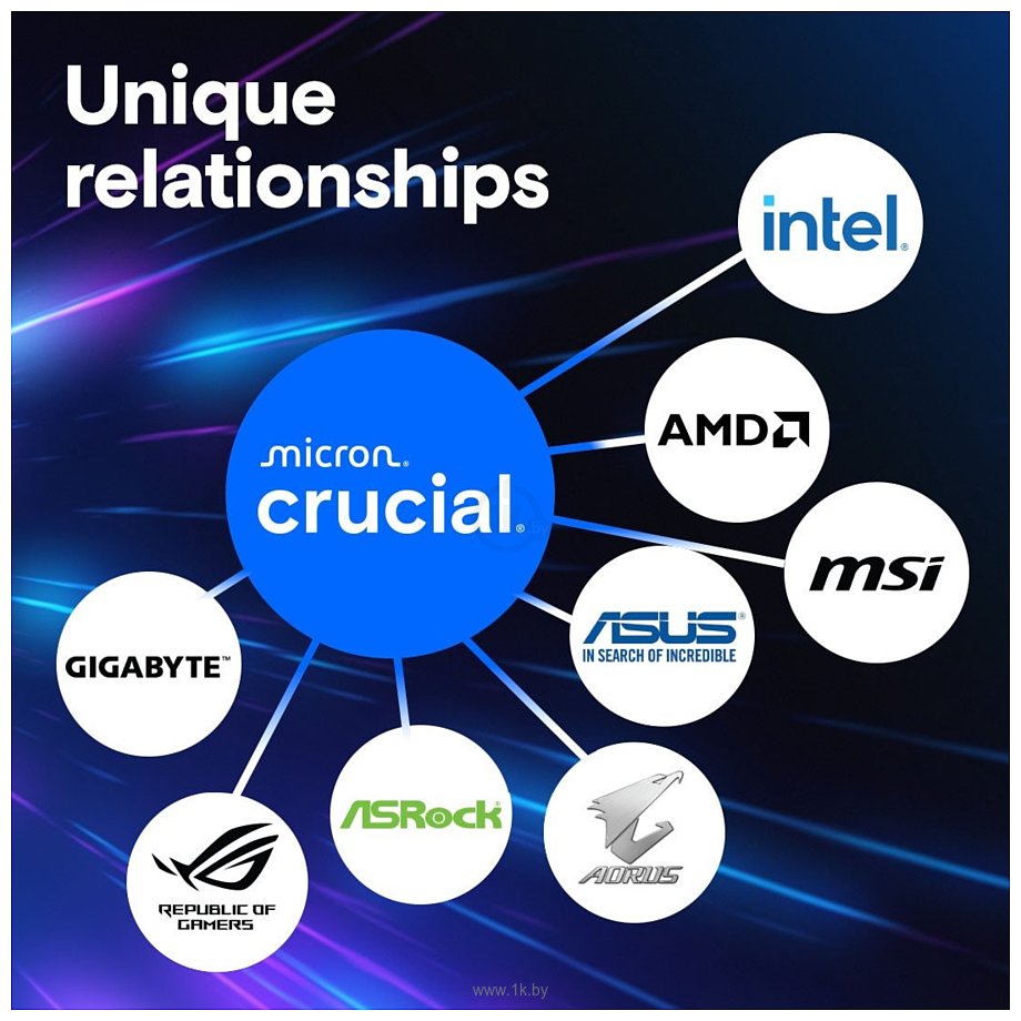 Фотографии Crucial Pro CP24G56C46U5