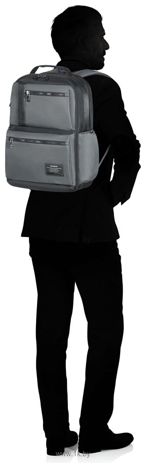 Фотографии Samsonite 24N*004