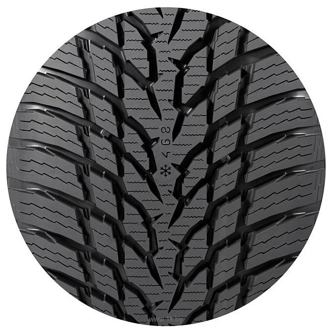 Фотографии Nokian WR SnowProof 185/70 R14 88T