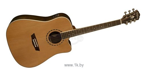 Фотографии Washburn WD11SCE