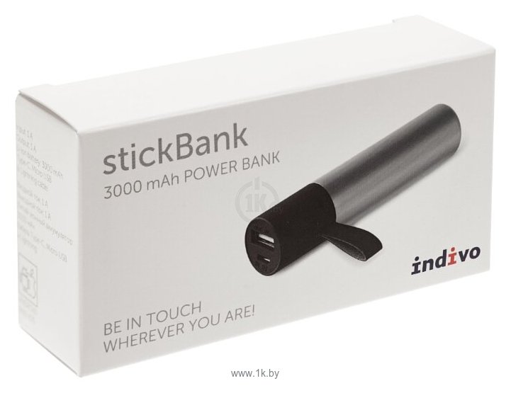 Фотографии Indivo stickBank 3000