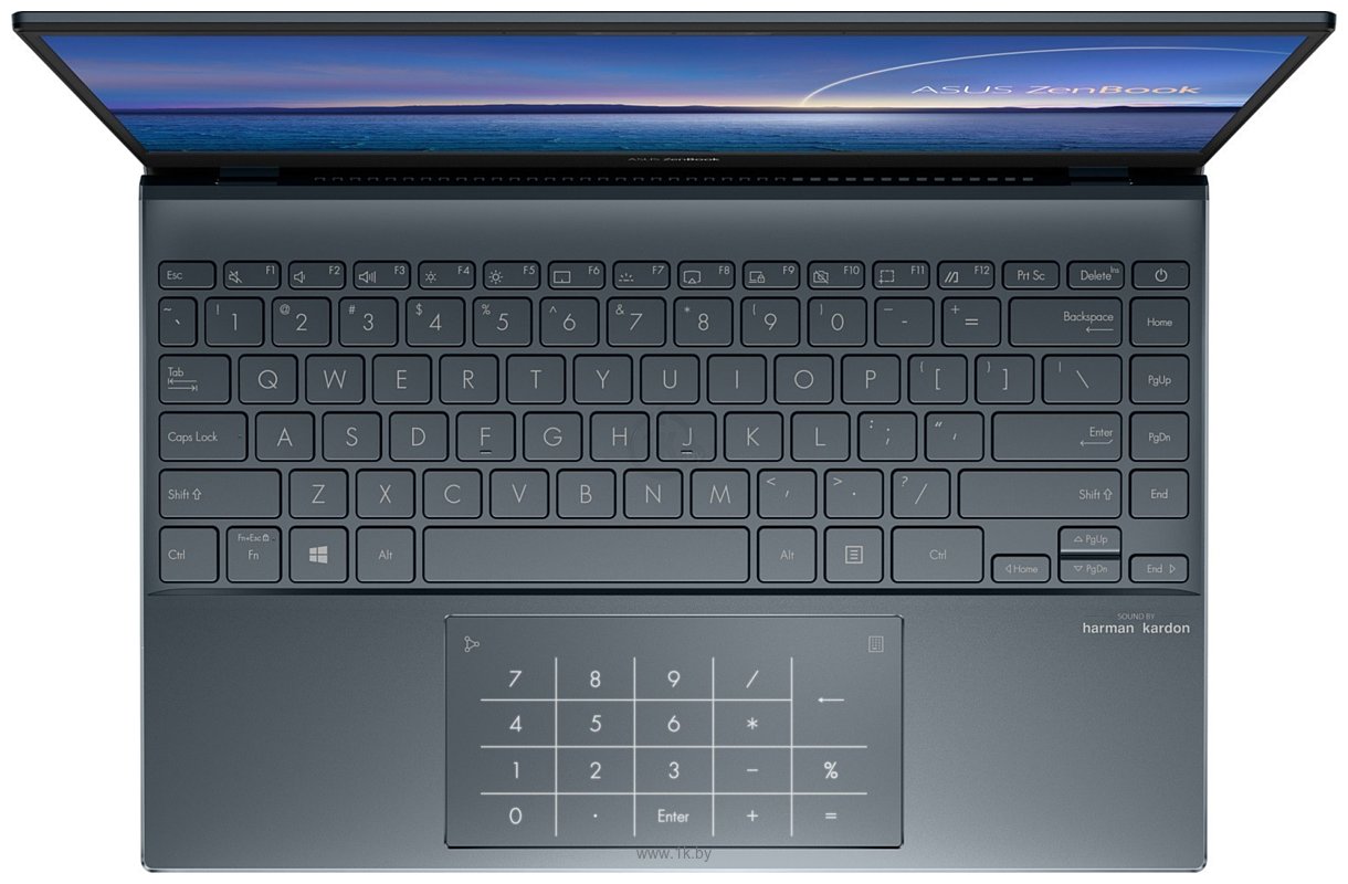 Фотографии ASUS ZenBook 13 UX325EA-KG789