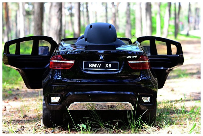 Фотографии Wingo BMW X6 (черный)