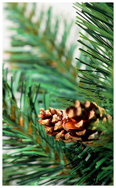 Фотографии Christmas Tree Торонто 1.5 м