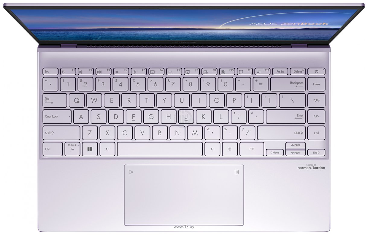 Фотографии ASUS ZenBook 14 UX425EA-KI880
