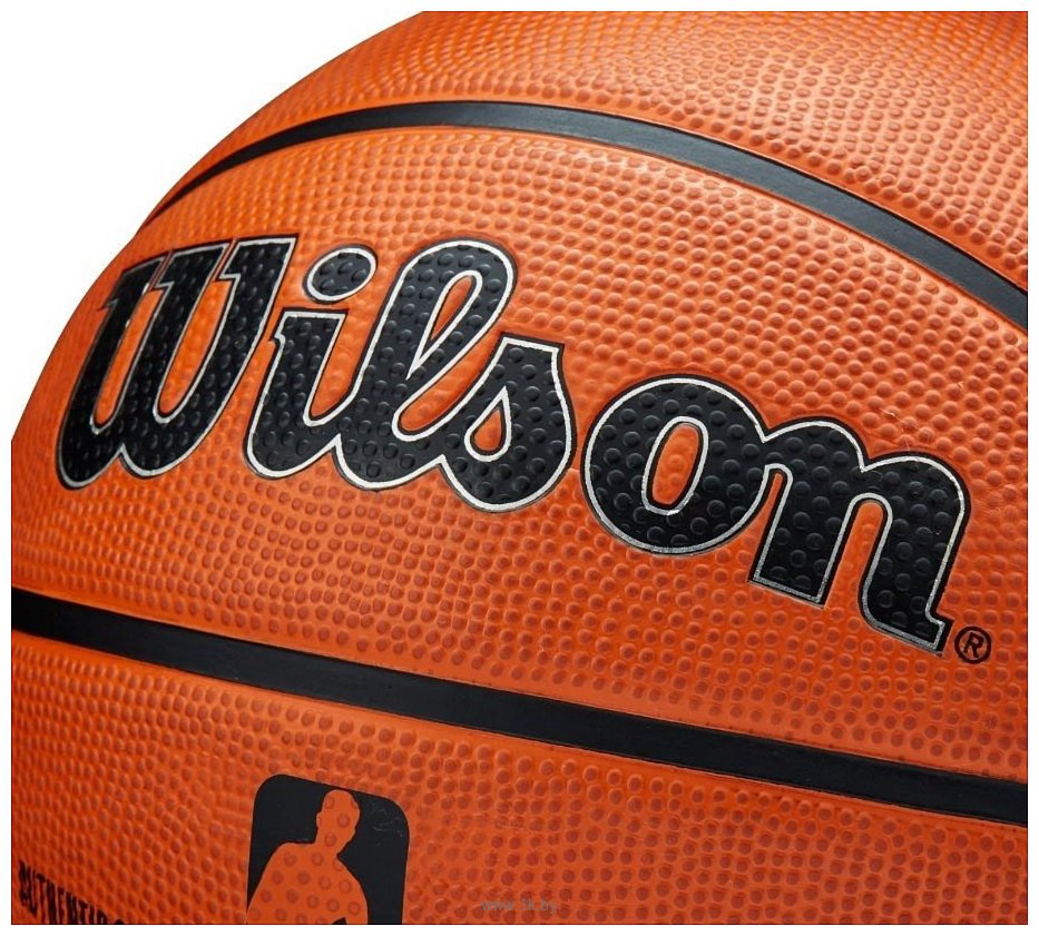 Фотографии Wilson NBA Authentic Series Outdoor (5 размер)