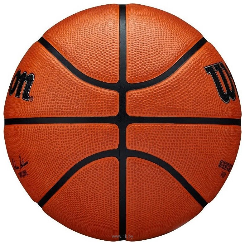 Фотографии Wilson NBA Authentic Series Outdoor (5 размер)