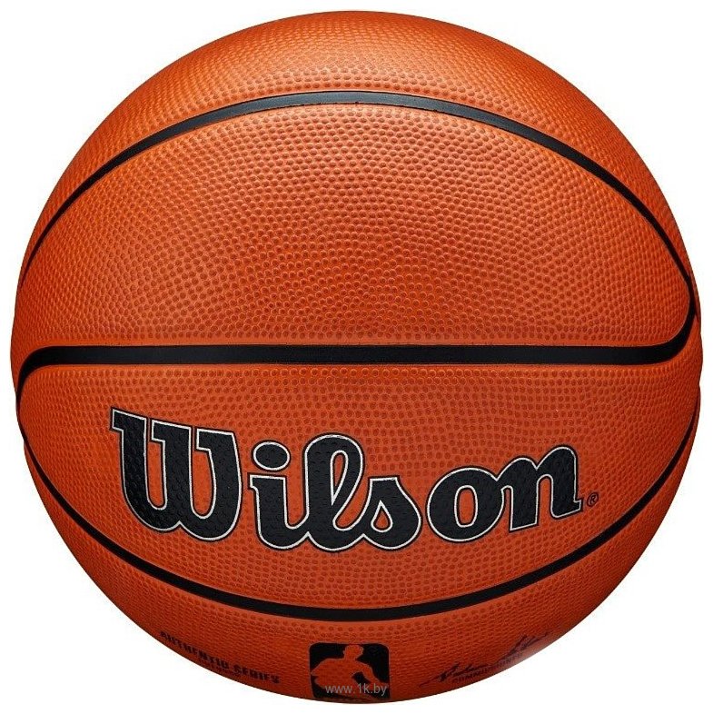 Фотографии Wilson NBA Authentic Series Outdoor (5 размер)