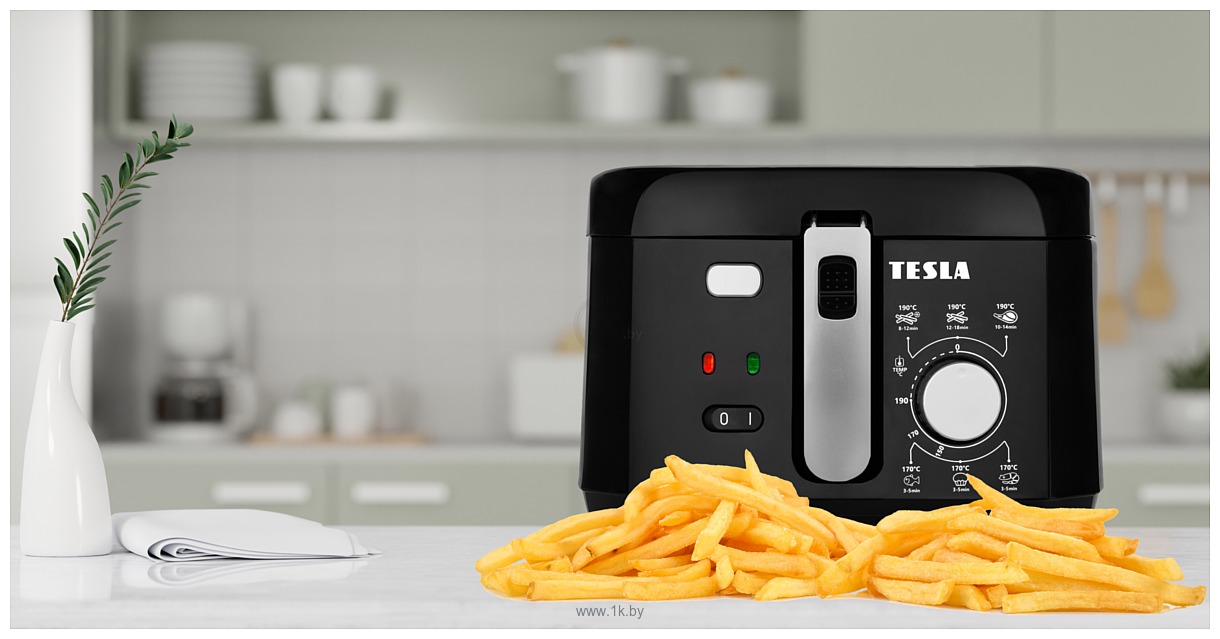 Фотографии Tesla EasyCook AE300