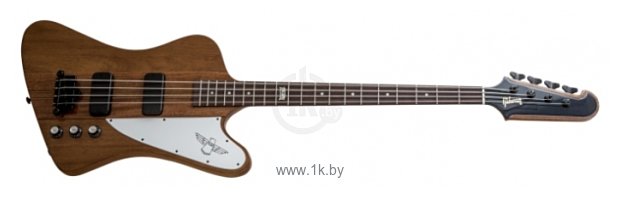 Фотографии Gibson Thunderbird 2014