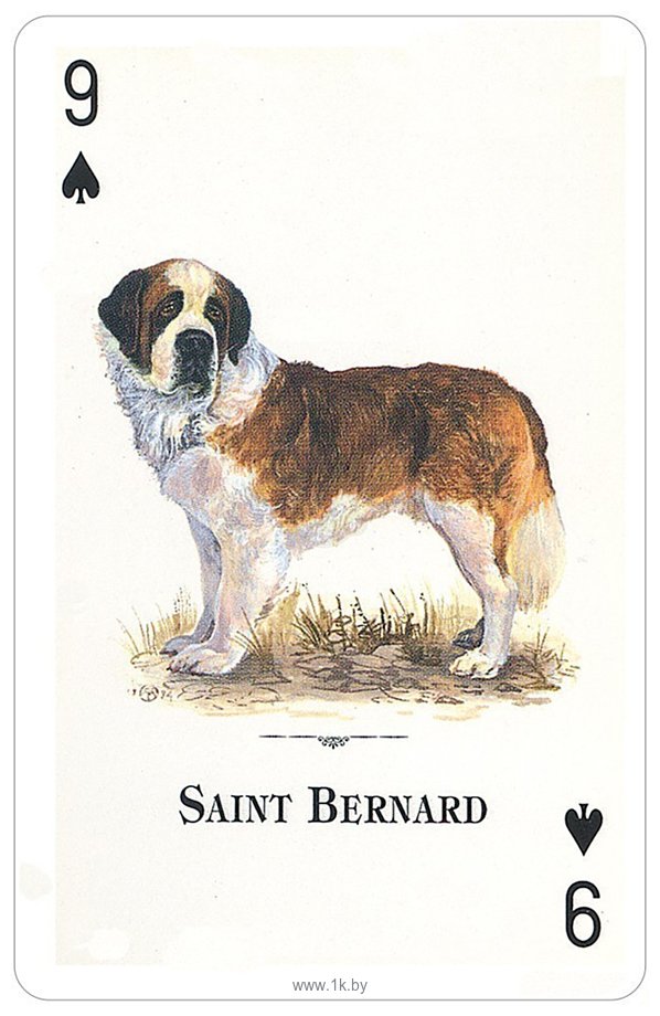 Фотографии US Games Systems Dogs of the Natural World Playing Cards DWC54