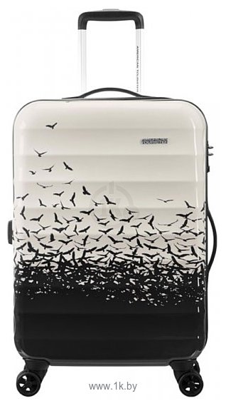 Фотографии American Tourister Palm Valley M (02G*102) 67 см