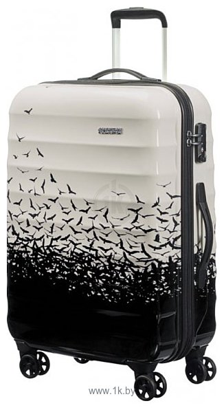 Фотографии American Tourister Palm Valley M (02G*102) 67 см