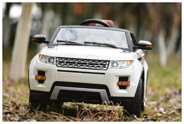 Фотографии Wingo RANGE ROVER EVOQUE LUX (белый)