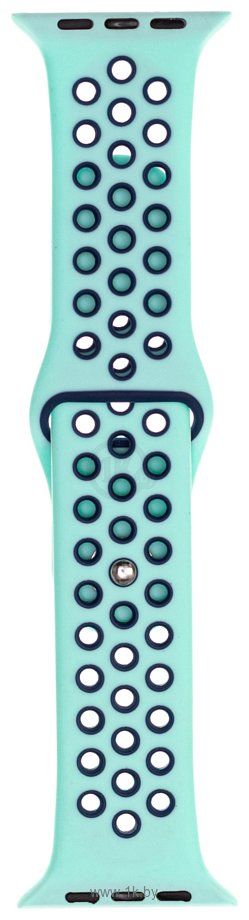 Фотографии Evolution AW40-SP01 для Apple Watch 38/40 мм (light green/midnight blue)