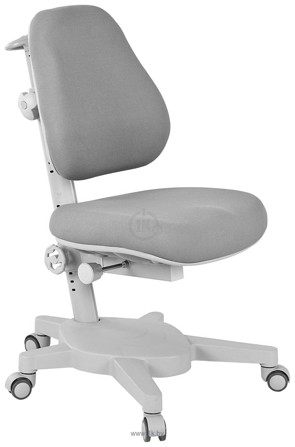 Фотографии Anatomica Study-120 Lux + надстройка + органайзер + ящик с серым креслом Armata (белый/серый)