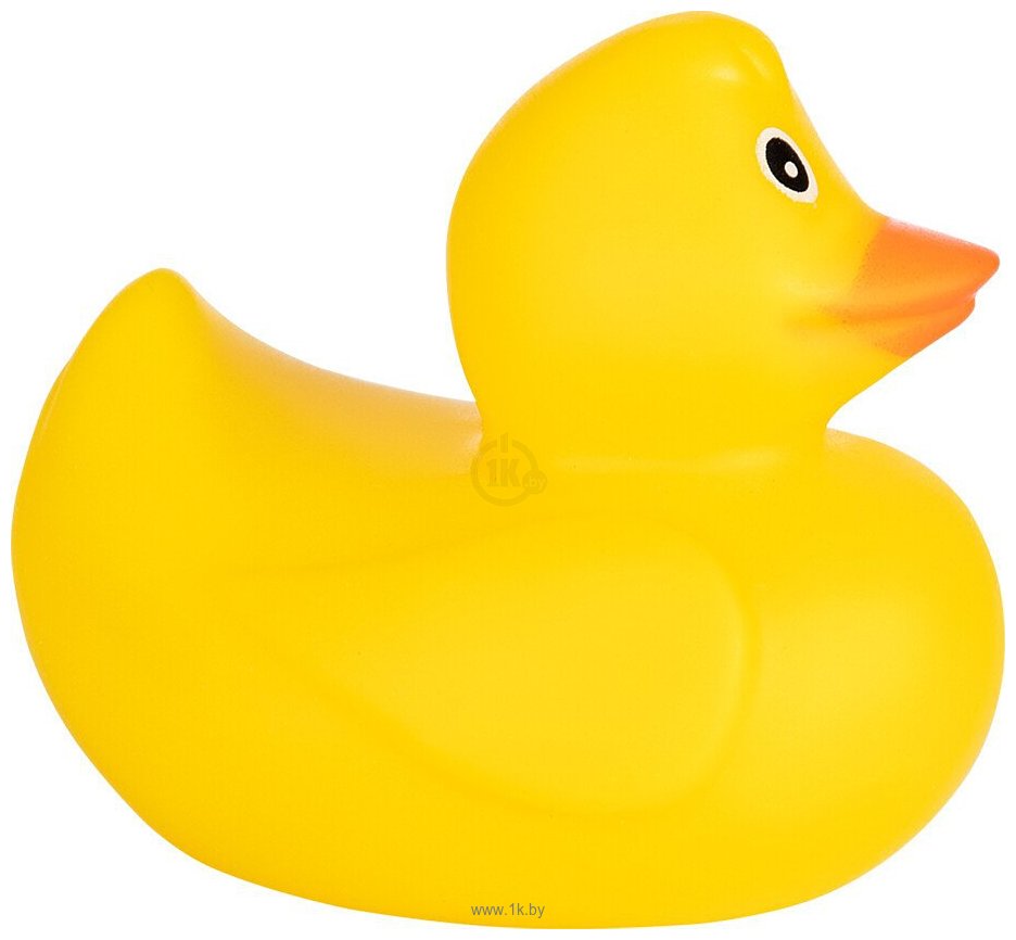 Фотографии Fancy Dolls с аксессуарами для купания OZNP01