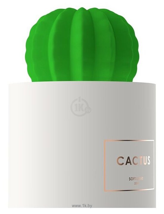 Фотографии GSMIN Cactus