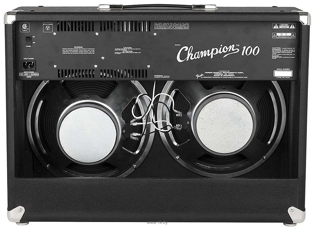Фотографии Fender Champion 100