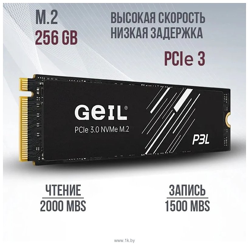 Фотографии GeIL P3L 256GB P3LFD16I256G