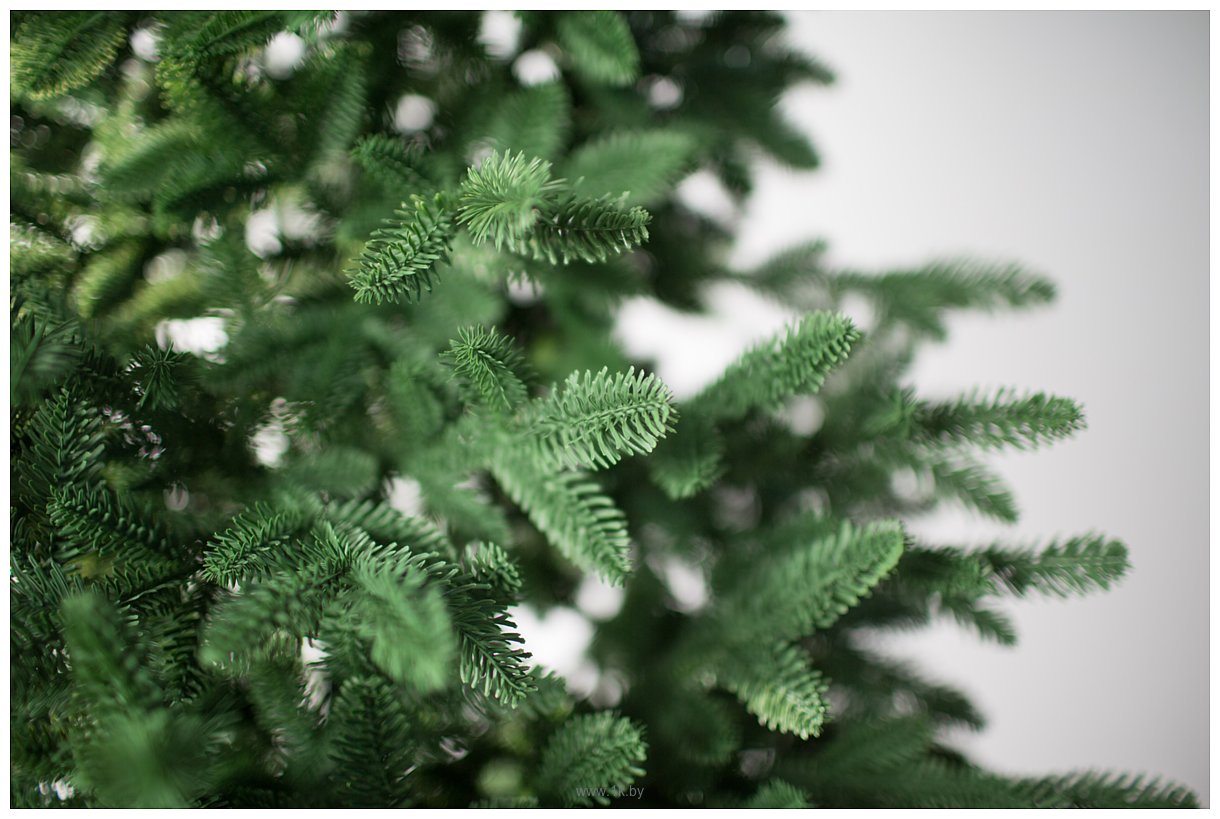Фотографии Green Trees Монтерей люкс 1.5 м