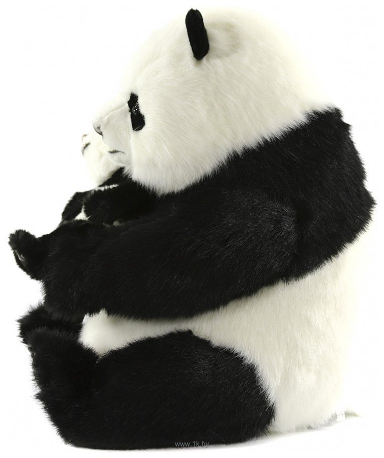 Фотографии Hansa Сreation Панда с детенышем 6802 (80 см)