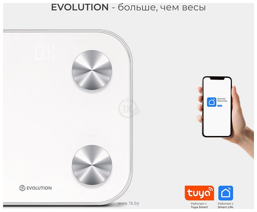 Фотографии Evolution BTF2 (белый)